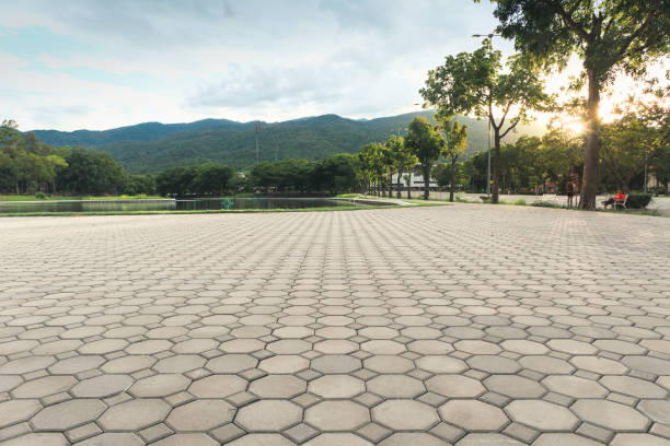 Best Residential Paver Driveway  in USA